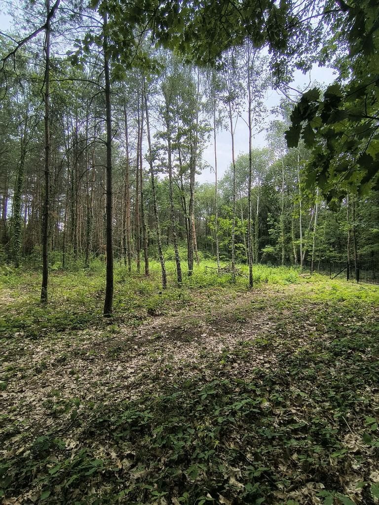 Działka  pokojowe na Sprzedaż