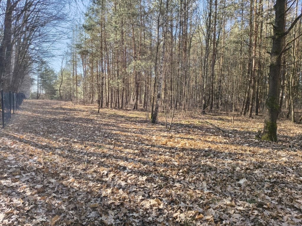 Działka  pokojowe na Sprzedaż