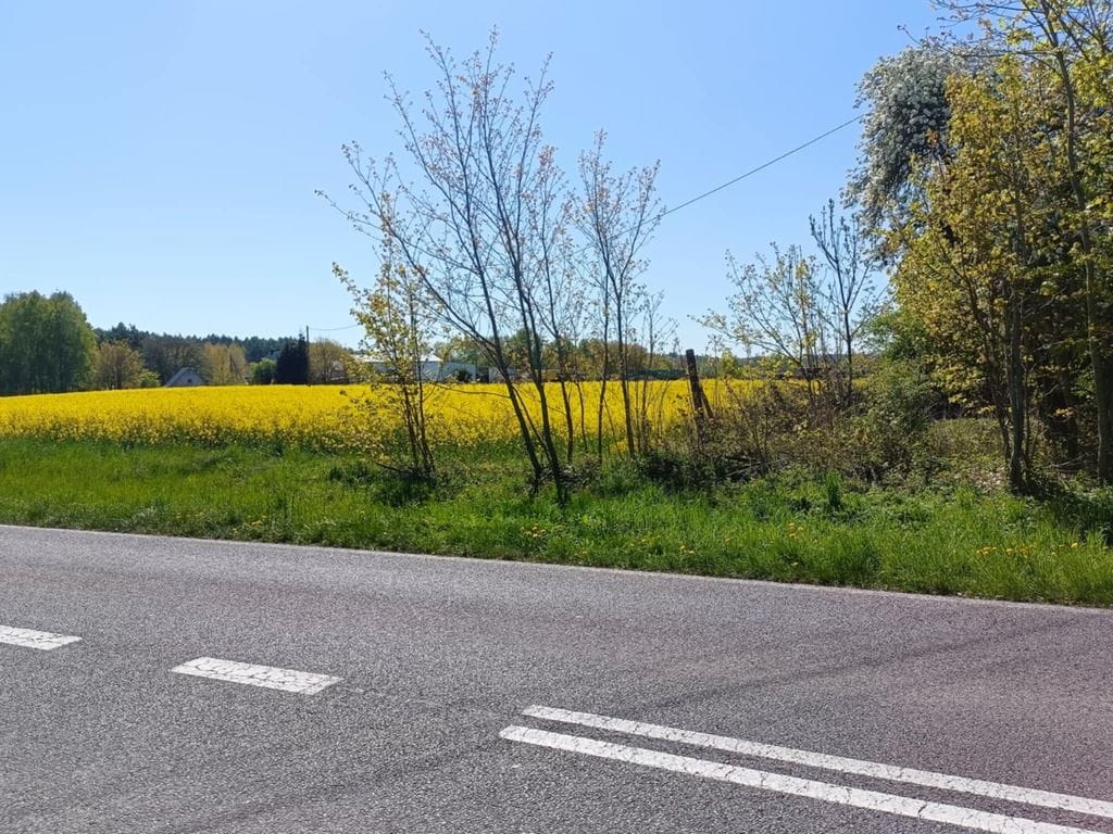 Działka  pokojowe na Sprzedaż