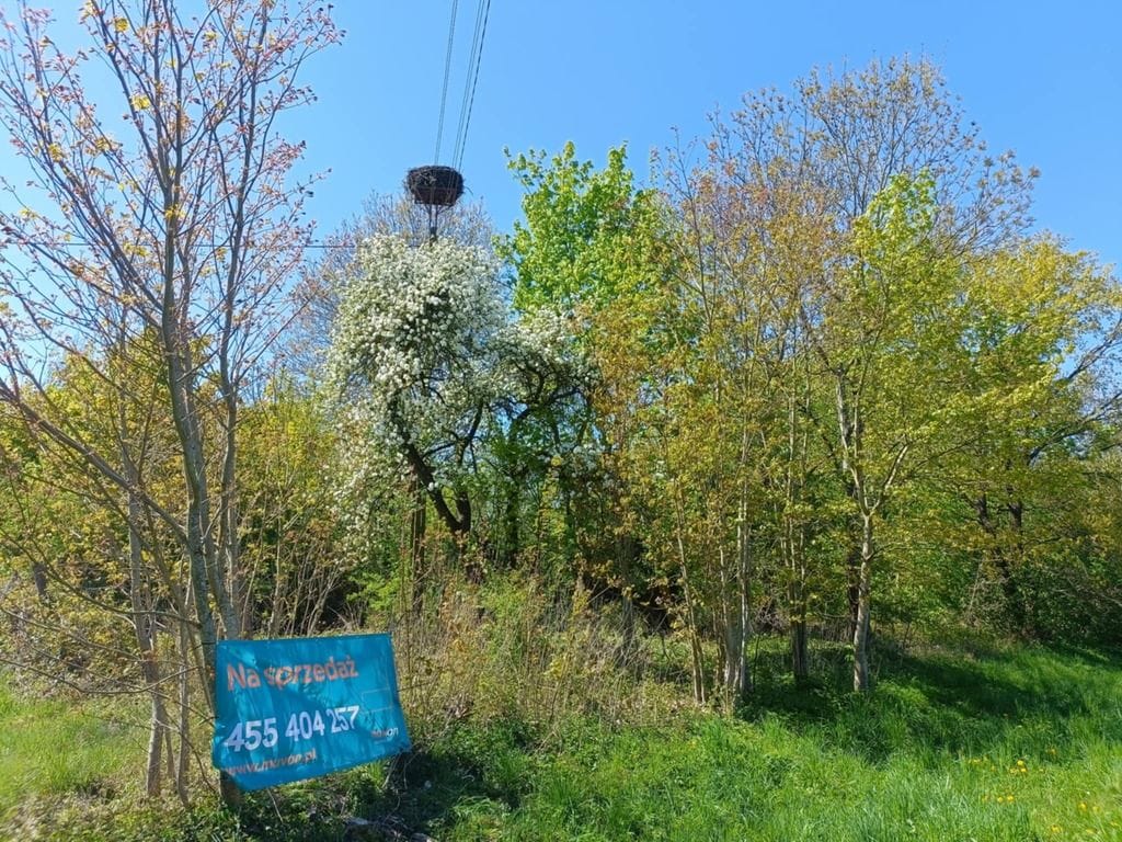 Działka  pokojowe na Sprzedaż