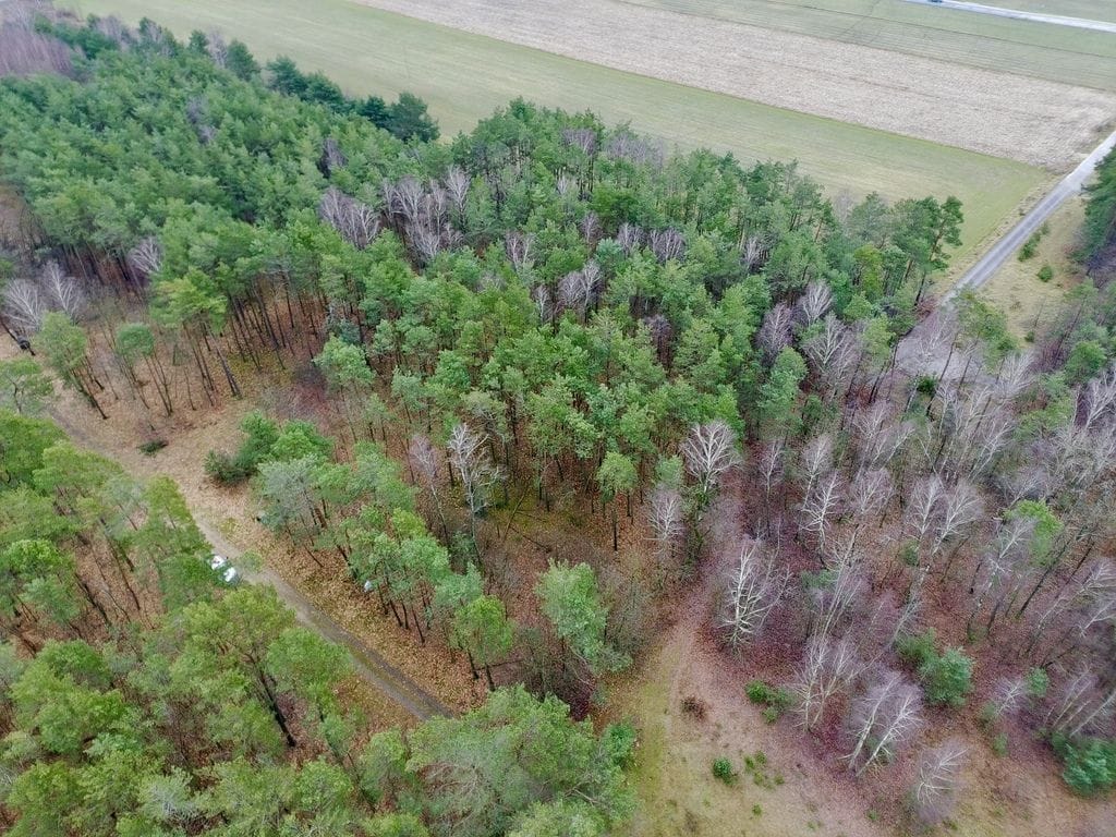 Działka  pokojowe na Sprzedaż