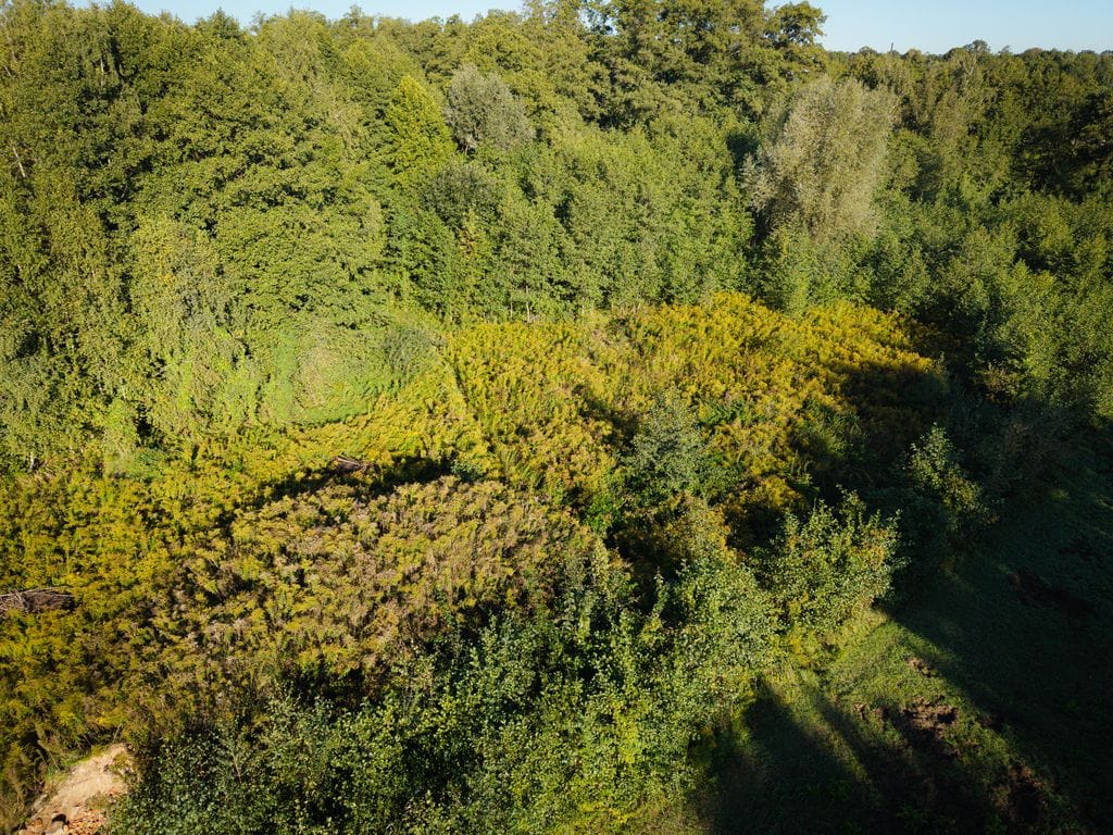 Działka  pokojowe na Sprzedaż