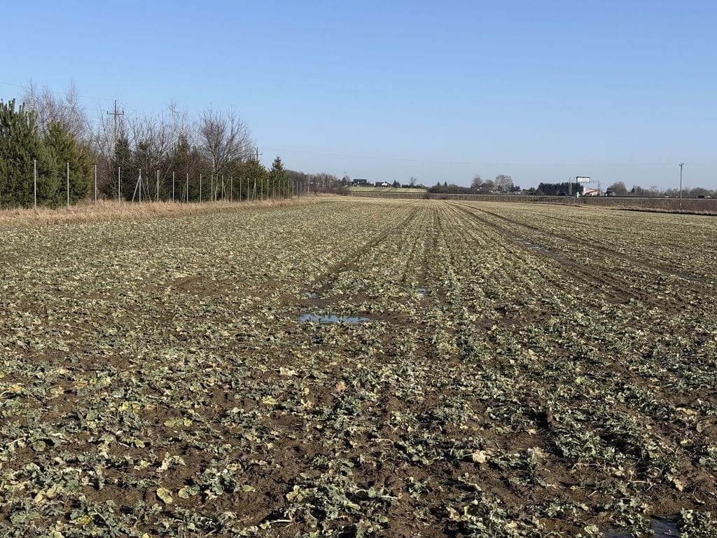 Działka  pokojowe na Sprzedaż