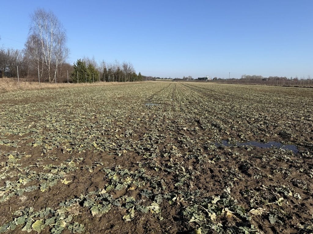 Działka  pokojowe na Sprzedaż