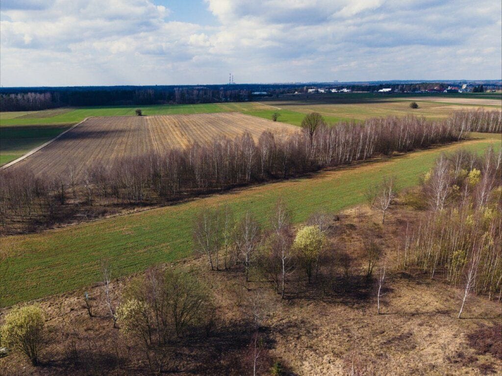 Działka  pokojowe na Sprzedaż