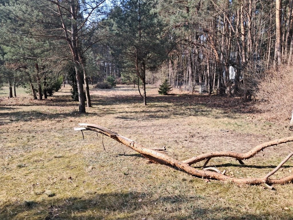 Działka  pokojowe na Sprzedaż