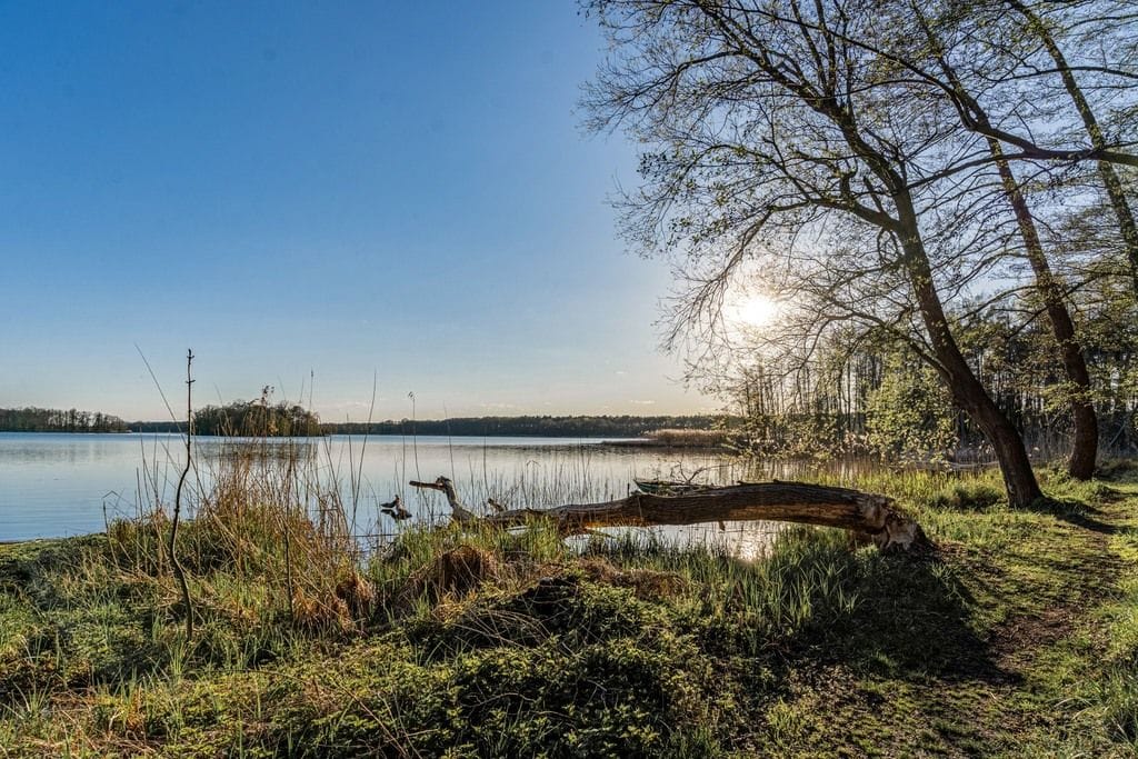Dom 4 pokojowe na Sprzedaż