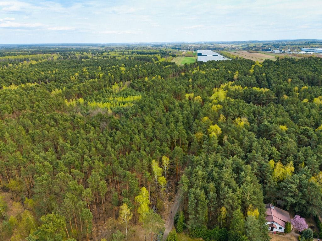 Działka  pokojowe na Sprzedaż