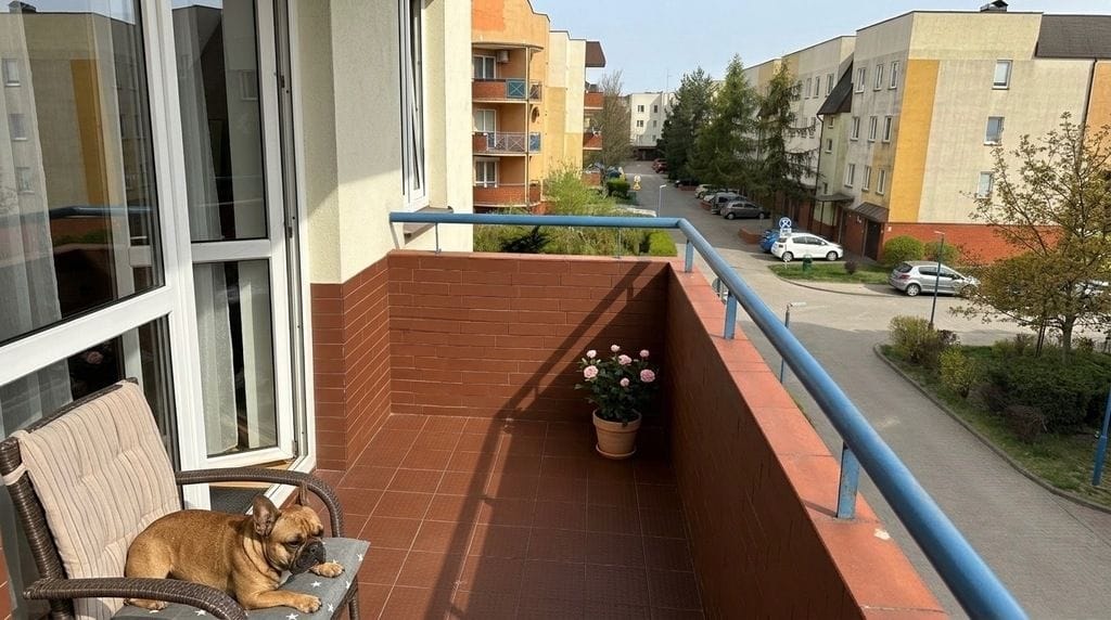 Mieszkanie 1 pokojowe na Sprzedaż