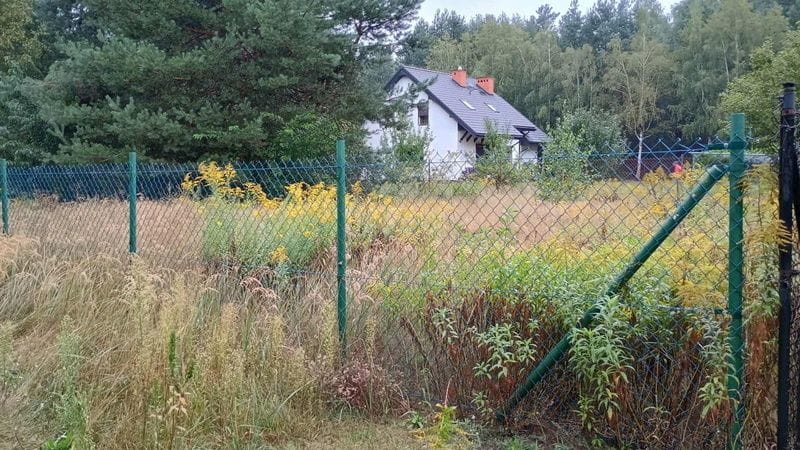 Działka  pokojowe na Sprzedaż