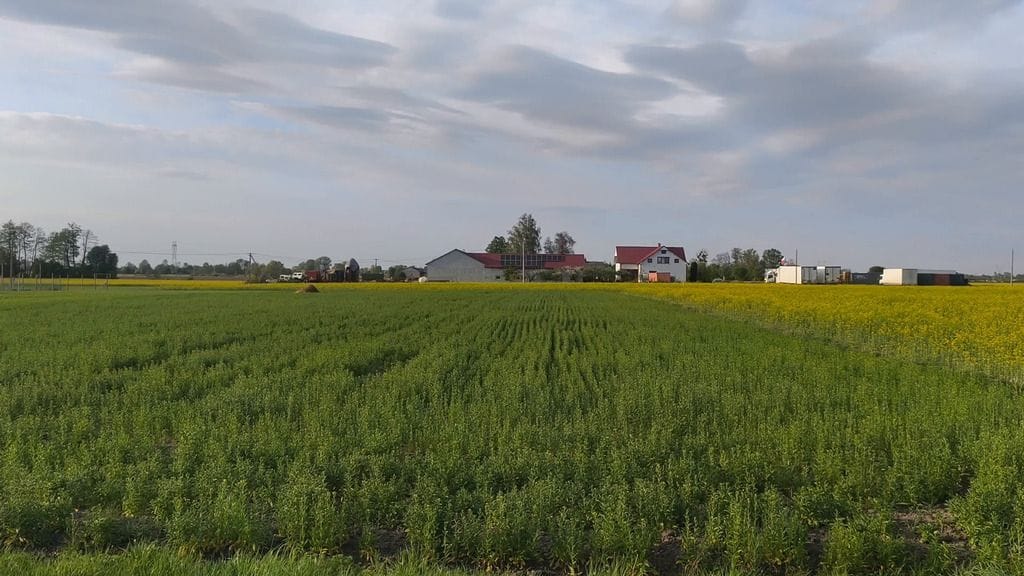 Działka  pokojowe na Sprzedaż