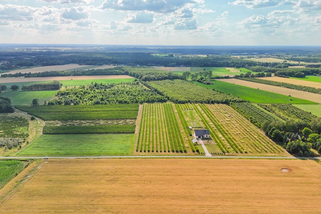Działka  pokojowe na Sprzedaż