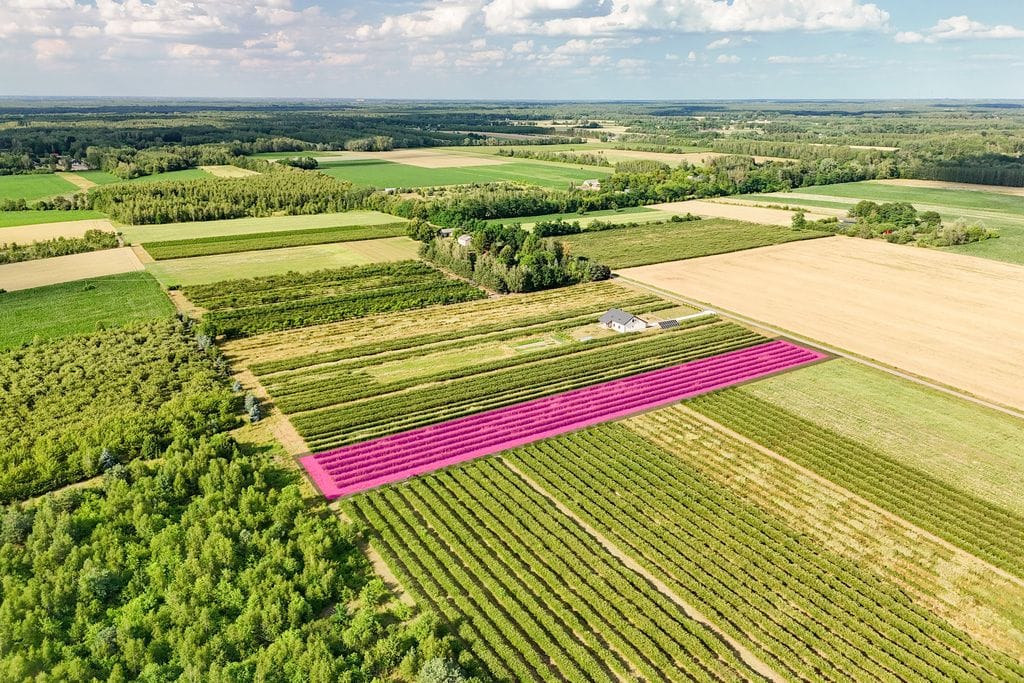 Działka  pokojowe na Sprzedaż