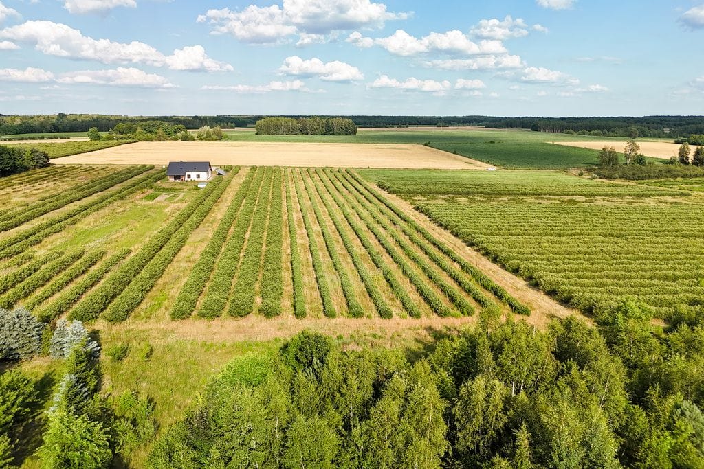 Działka  pokojowe na Sprzedaż