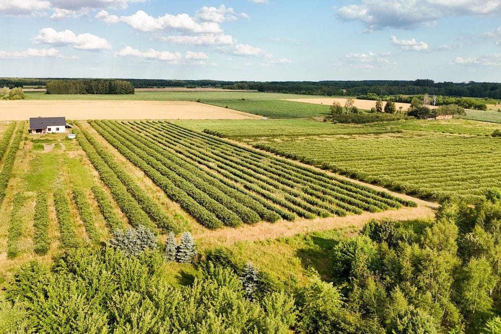 Działka  pokojowe na Sprzedaż
