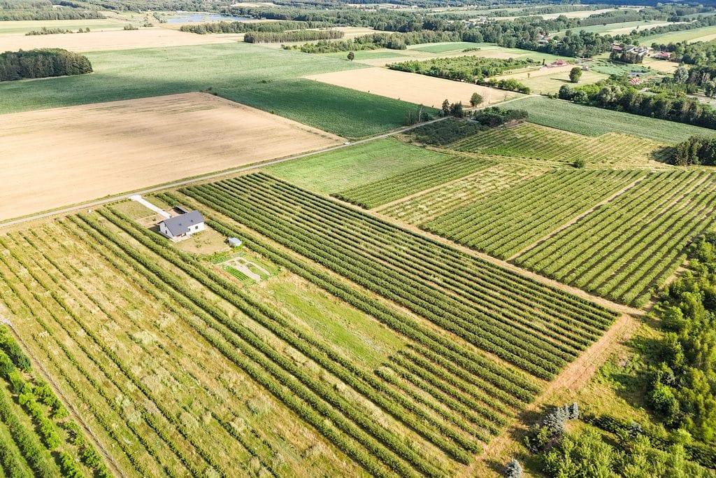 Działka  pokojowe na Sprzedaż