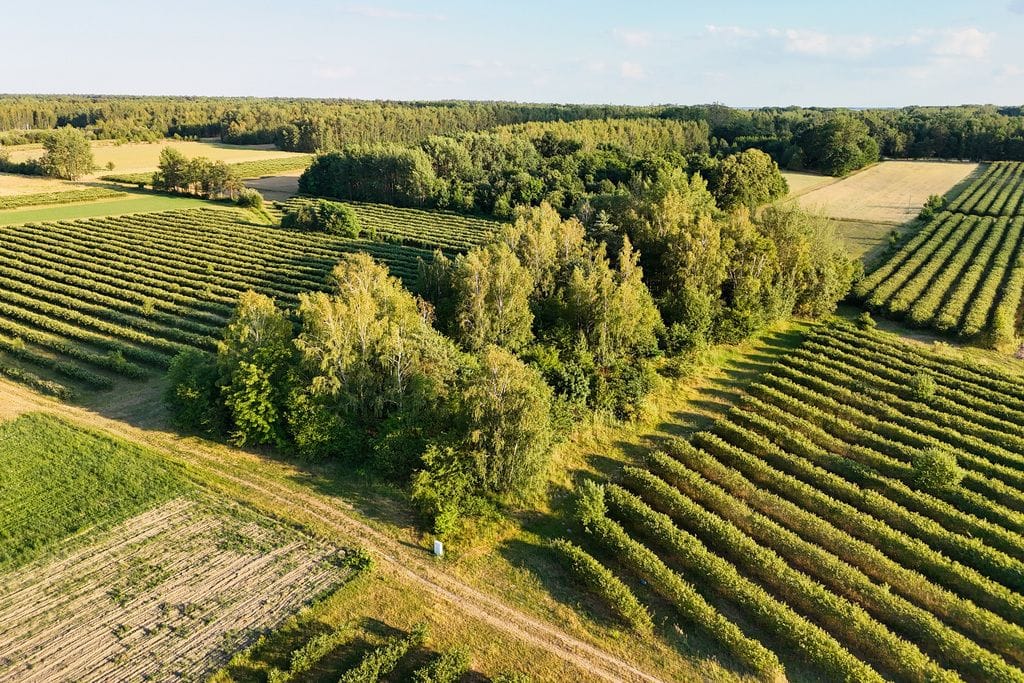 Działka  pokojowe na Sprzedaż