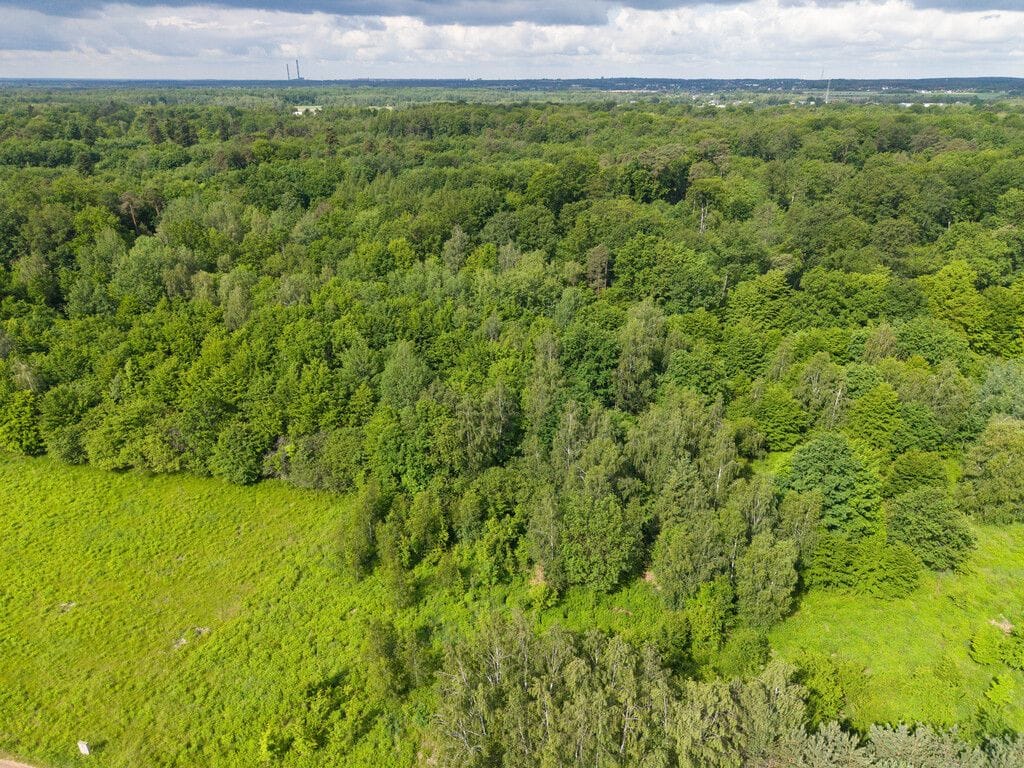 Działka  pokojowe na Sprzedaż