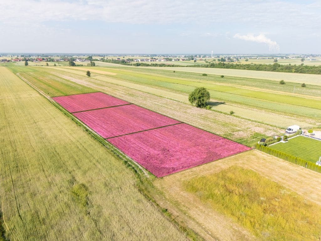 Działka  pokojowe na Sprzedaż