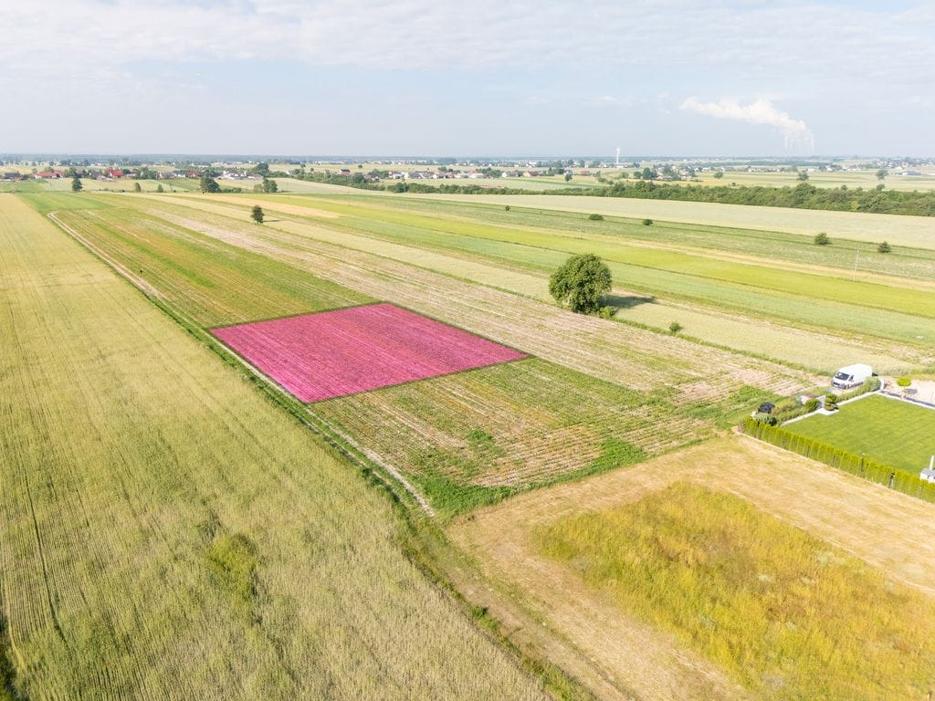 Działka  pokojowe na Sprzedaż