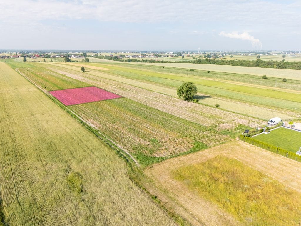 Działka  pokojowe na Sprzedaż