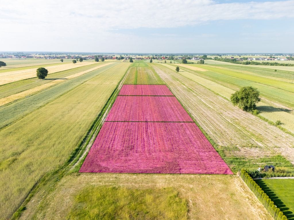 Działka  pokojowe na Sprzedaż