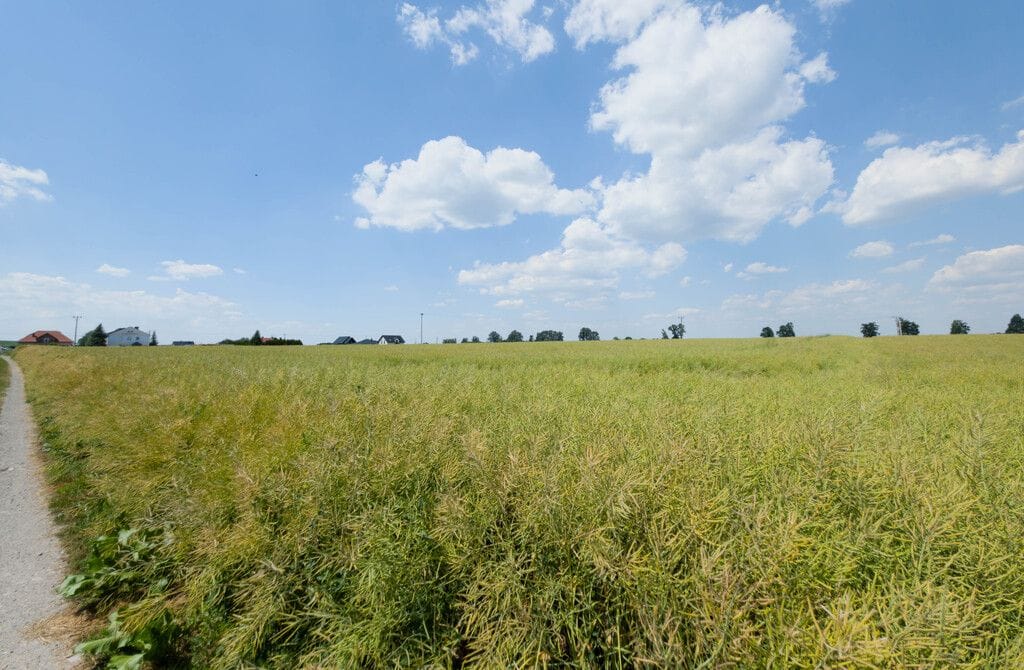 Działka  pokojowe na Sprzedaż