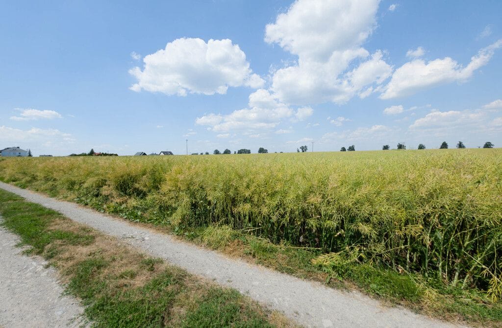 Działka  pokojowe na Sprzedaż