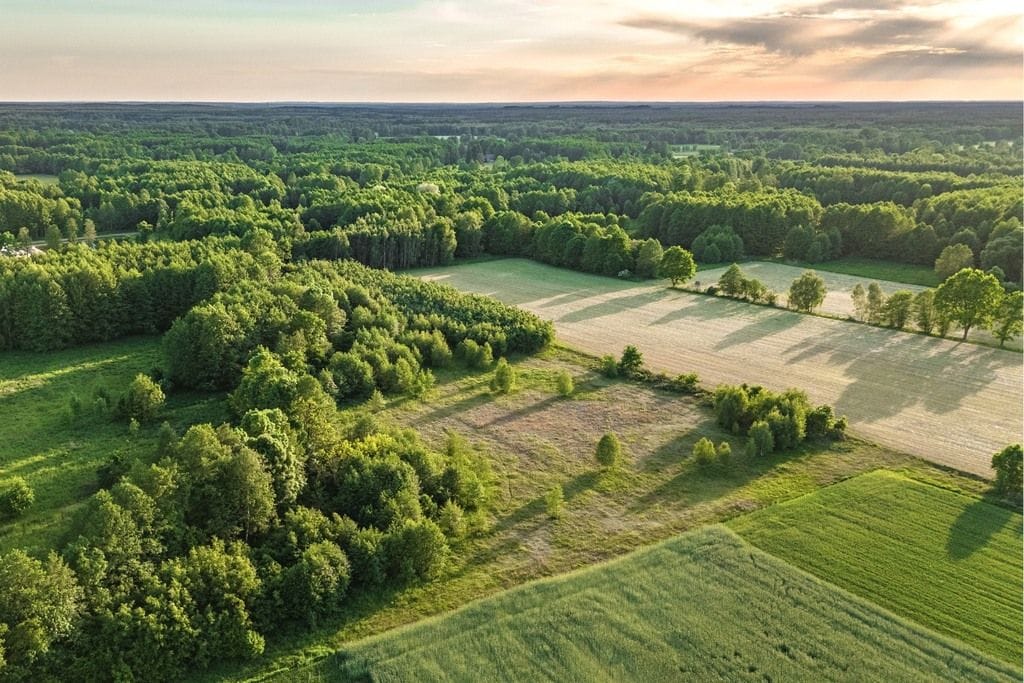 Działka  pokojowe na Sprzedaż