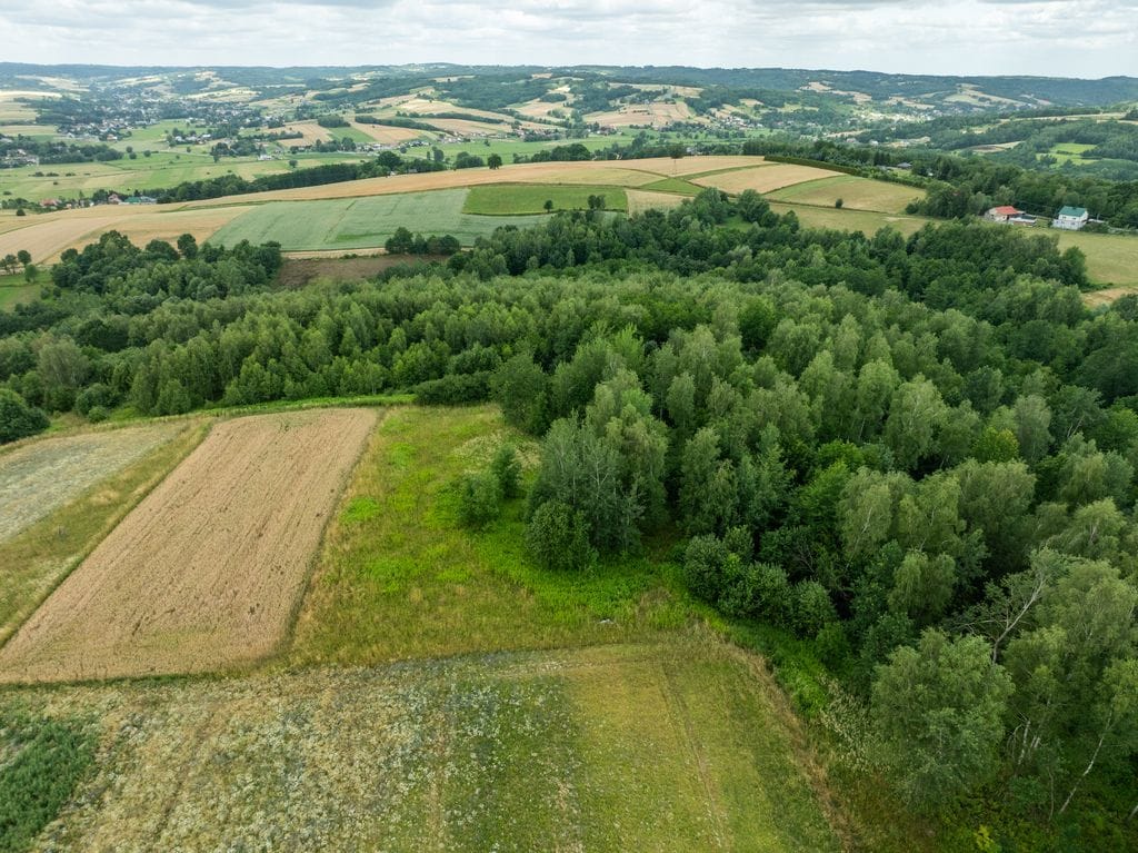 Działka  pokojowe na Sprzedaż