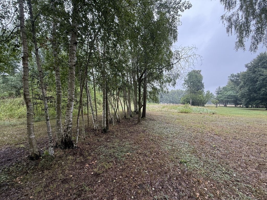 Dom 3 pokojowe na Sprzedaż