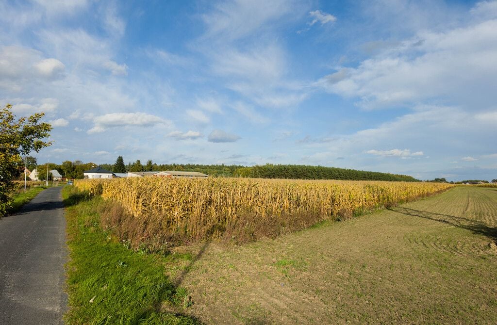 Działka  pokojowe na Sprzedaż
