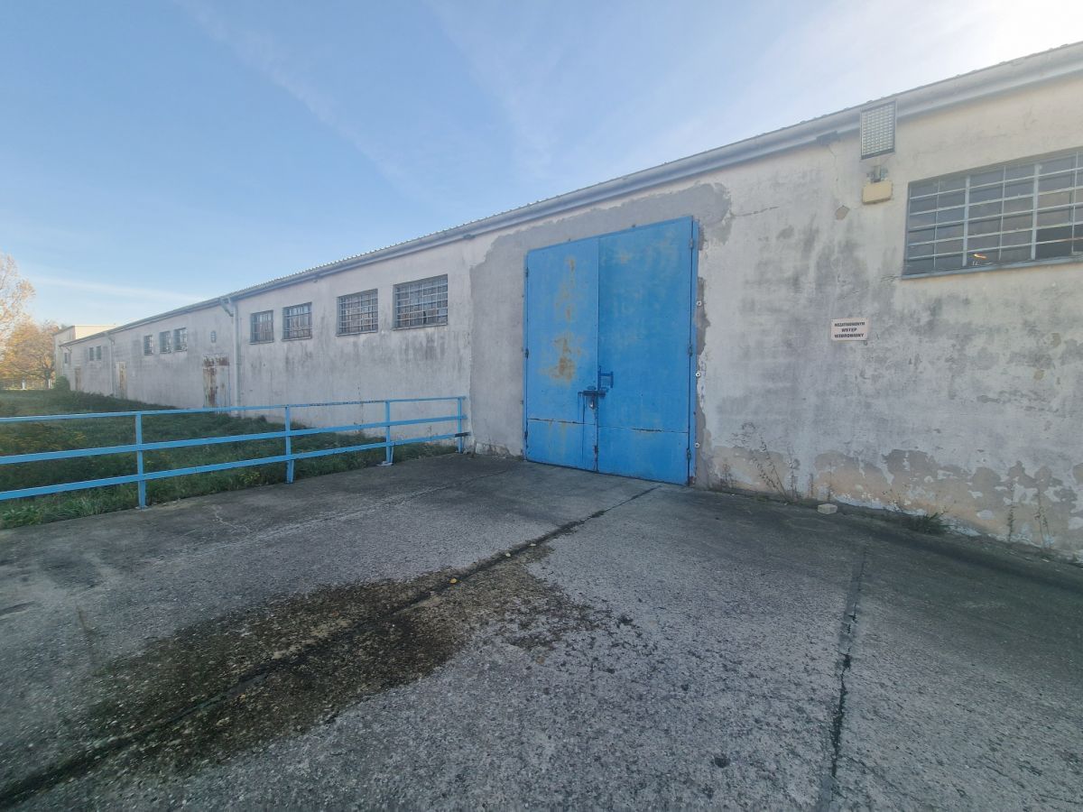 Lokal użytkowy  pokojowe na Wynajem