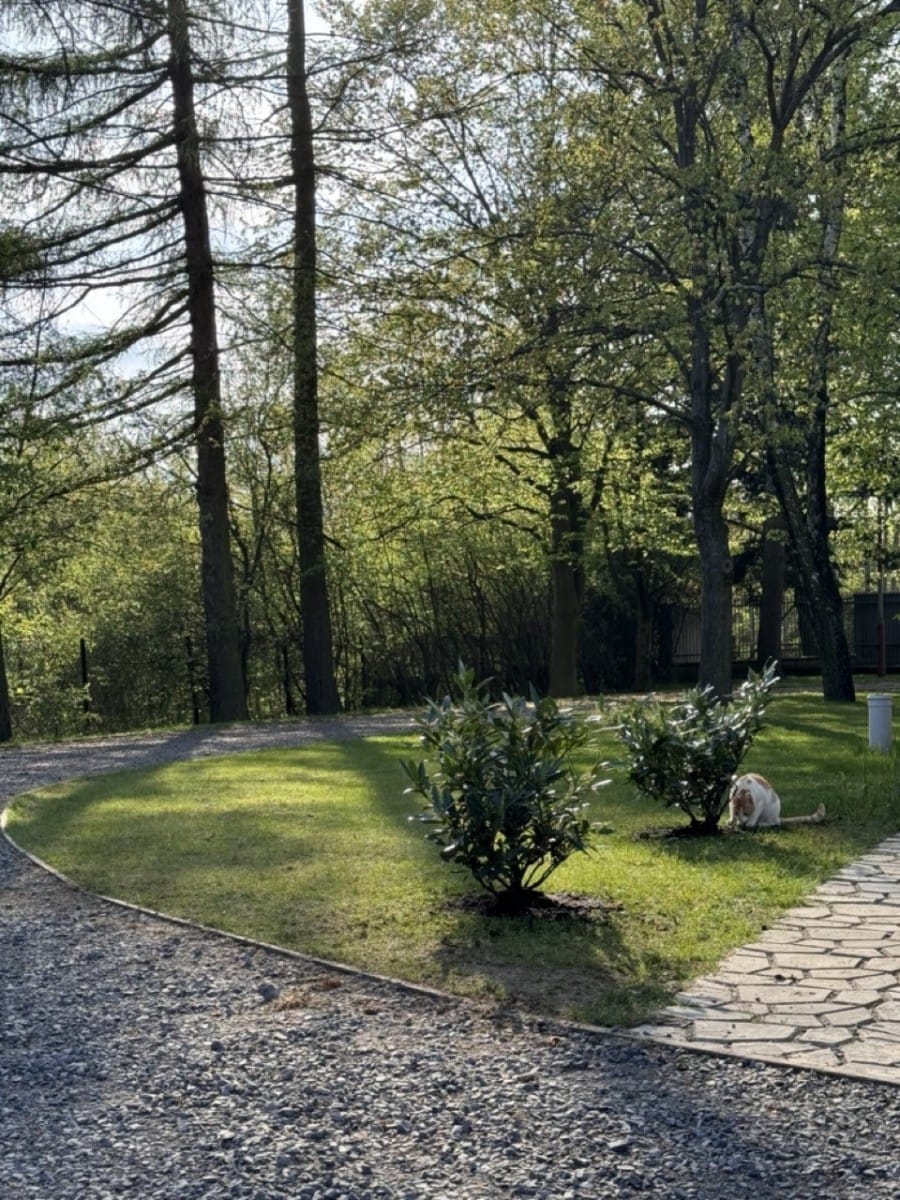 Lokal użytkowy  pokojowe na Wynajem