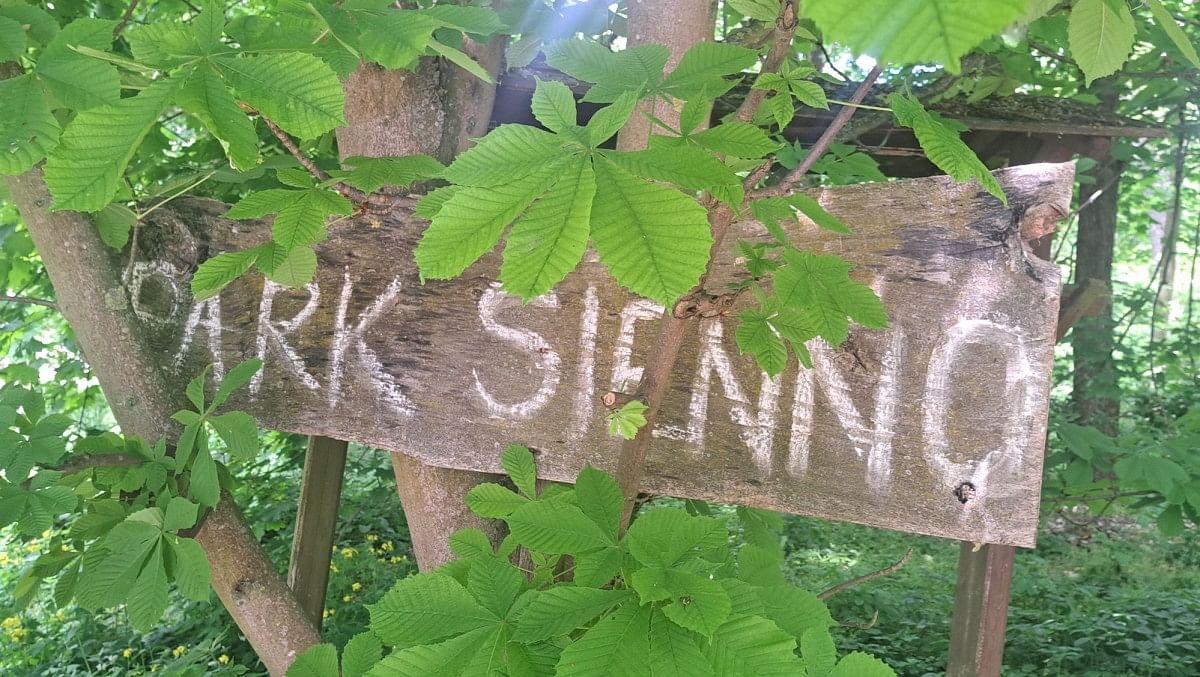 Dom 4 pokojowe na Sprzedaż