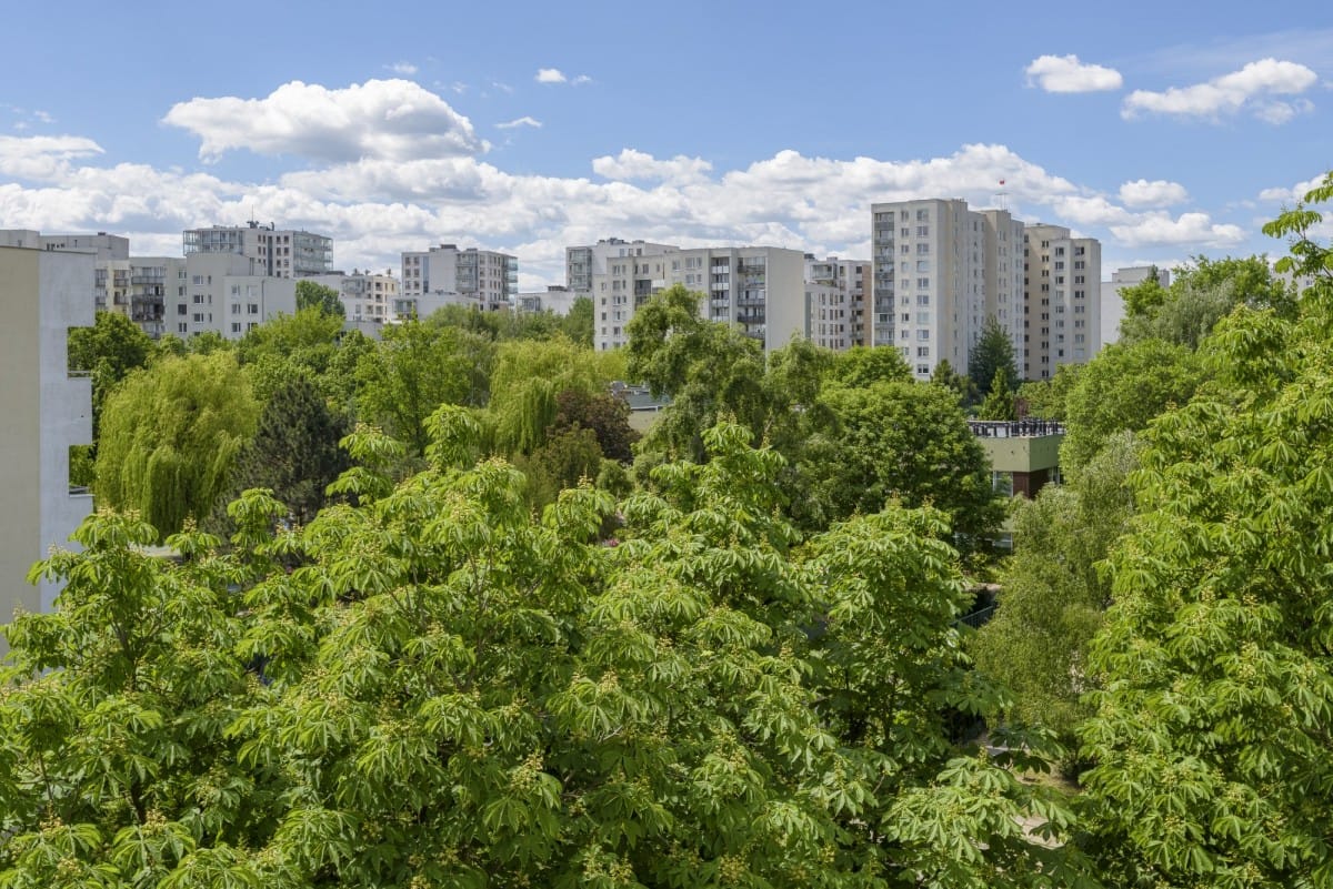 Mieszkanie 4 pokojowe na Wynajem