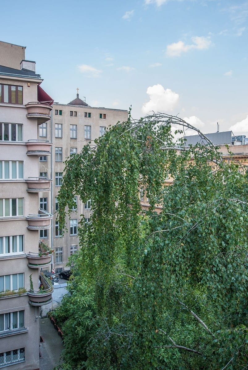 Mieszkanie 2 pokojowe na Wynajem