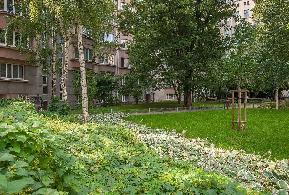 Mieszkanie 2 pokojowe na Wynajem