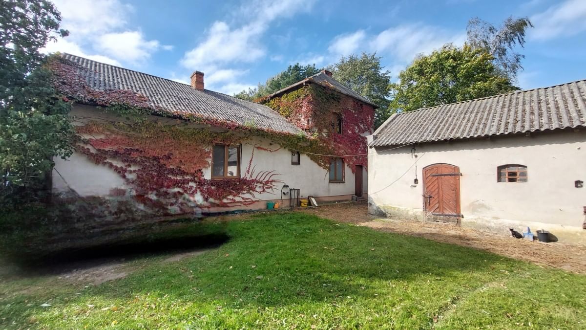 Dom 45 pokojowe na Sprzedaż