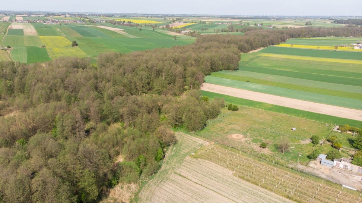 Działka  pokojowe na Sprzedaż