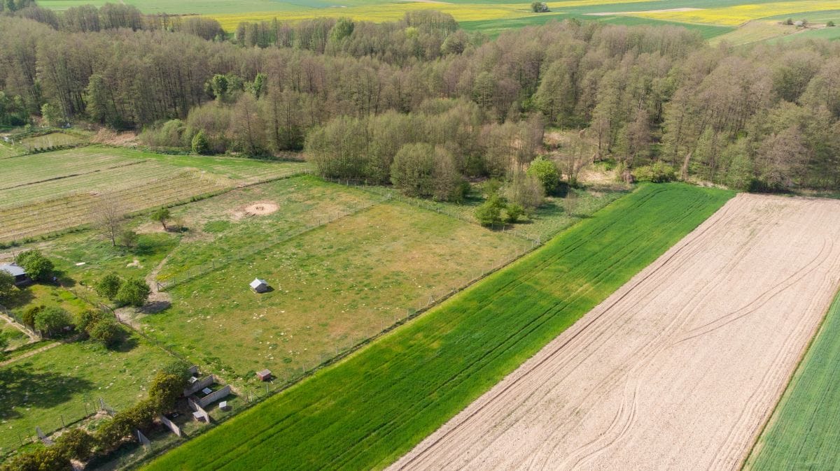 Działka  pokojowe na Sprzedaż