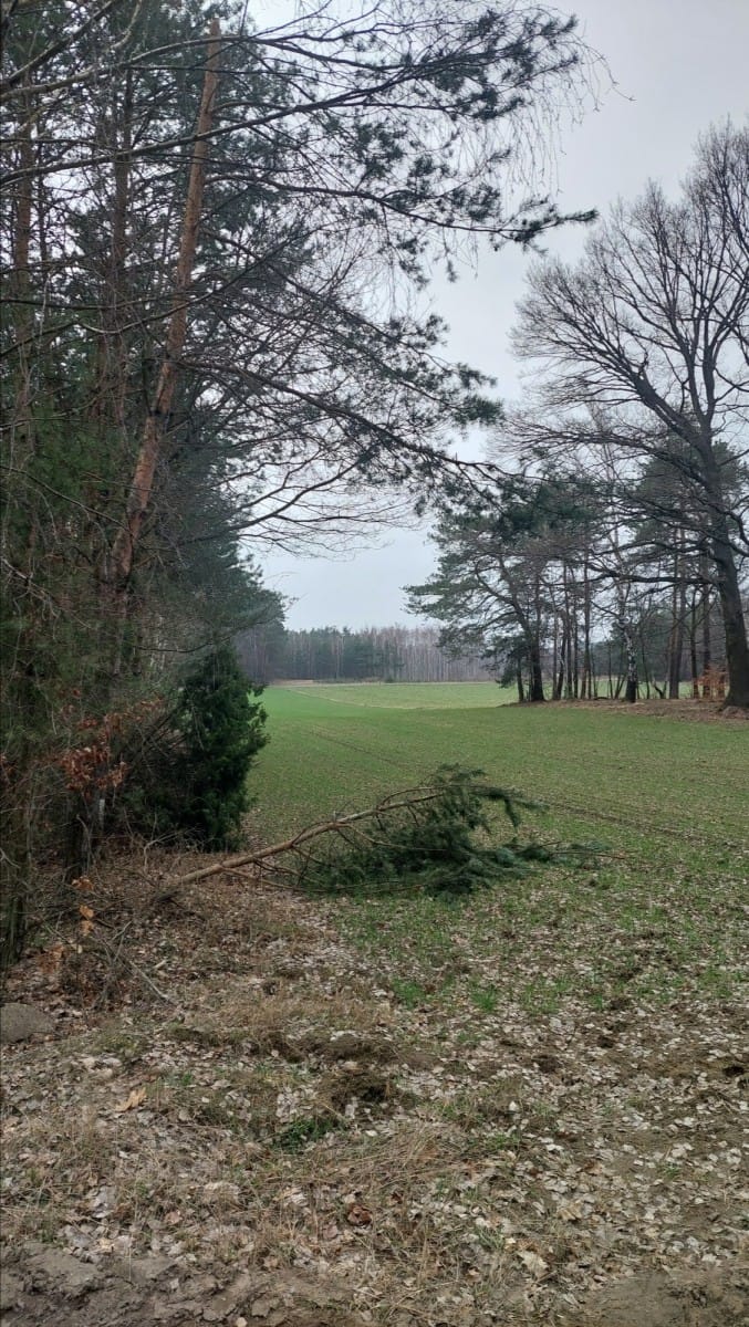 Działka  pokojowe na Sprzedaż