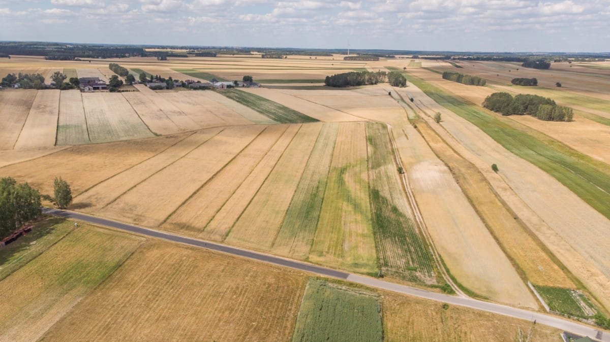 Działka  pokojowe na Sprzedaż