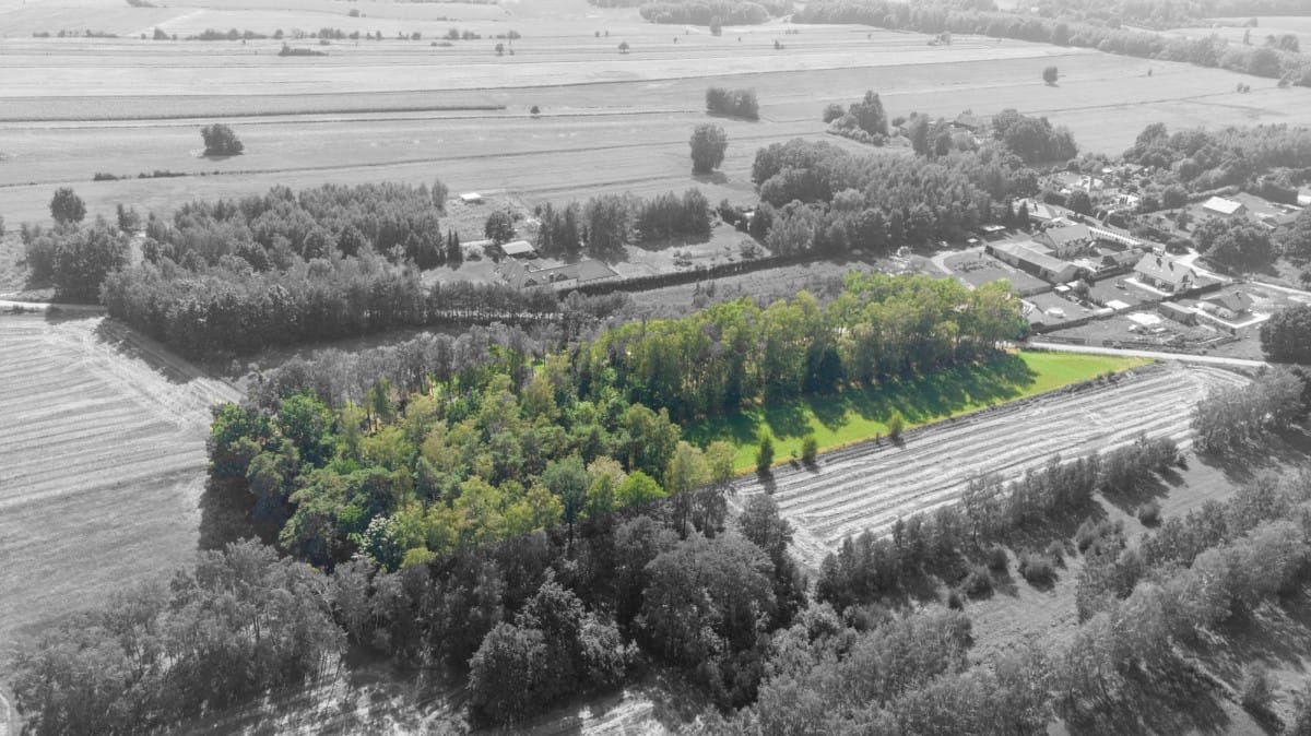 Działka  pokojowe na Sprzedaż