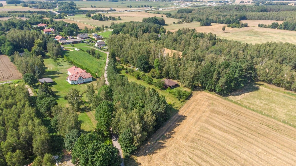 Działka  pokojowe na Sprzedaż