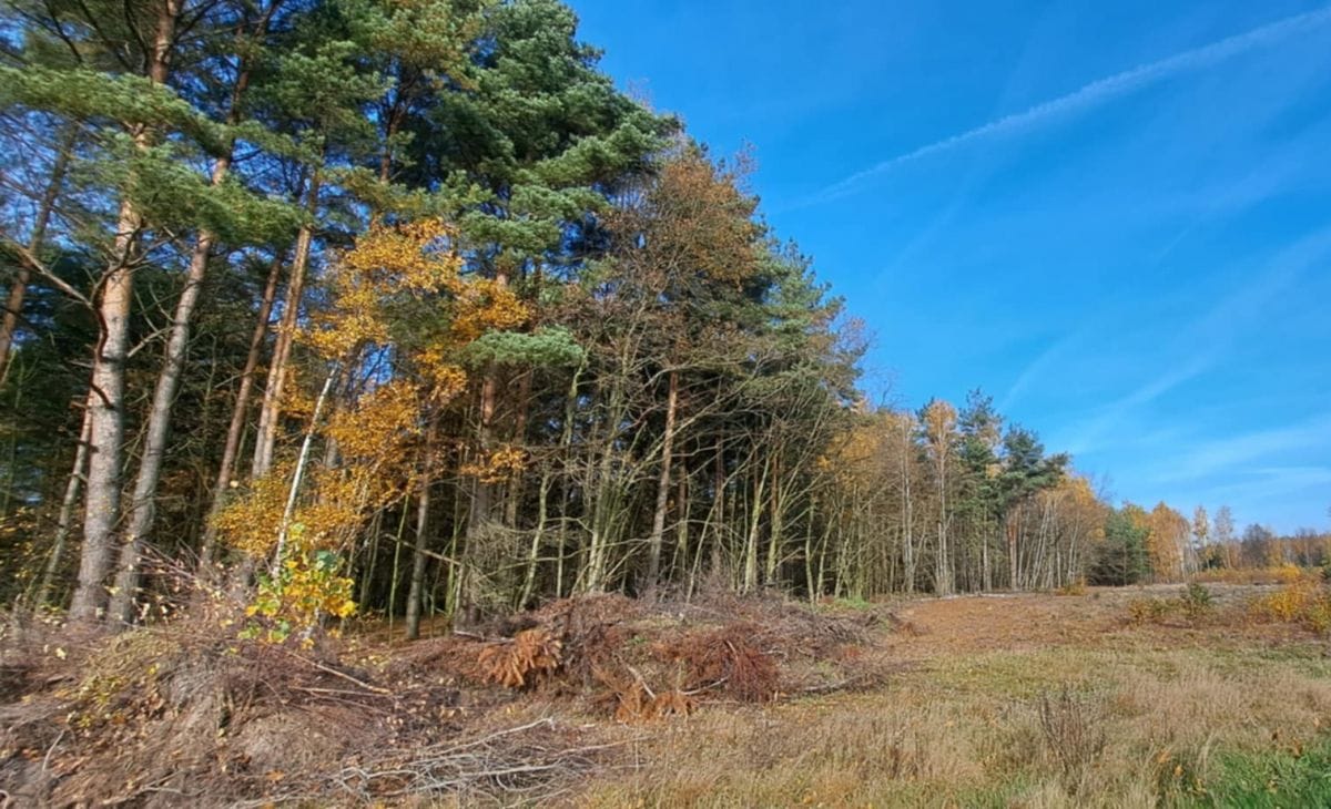 Działka  pokojowe na Sprzedaż