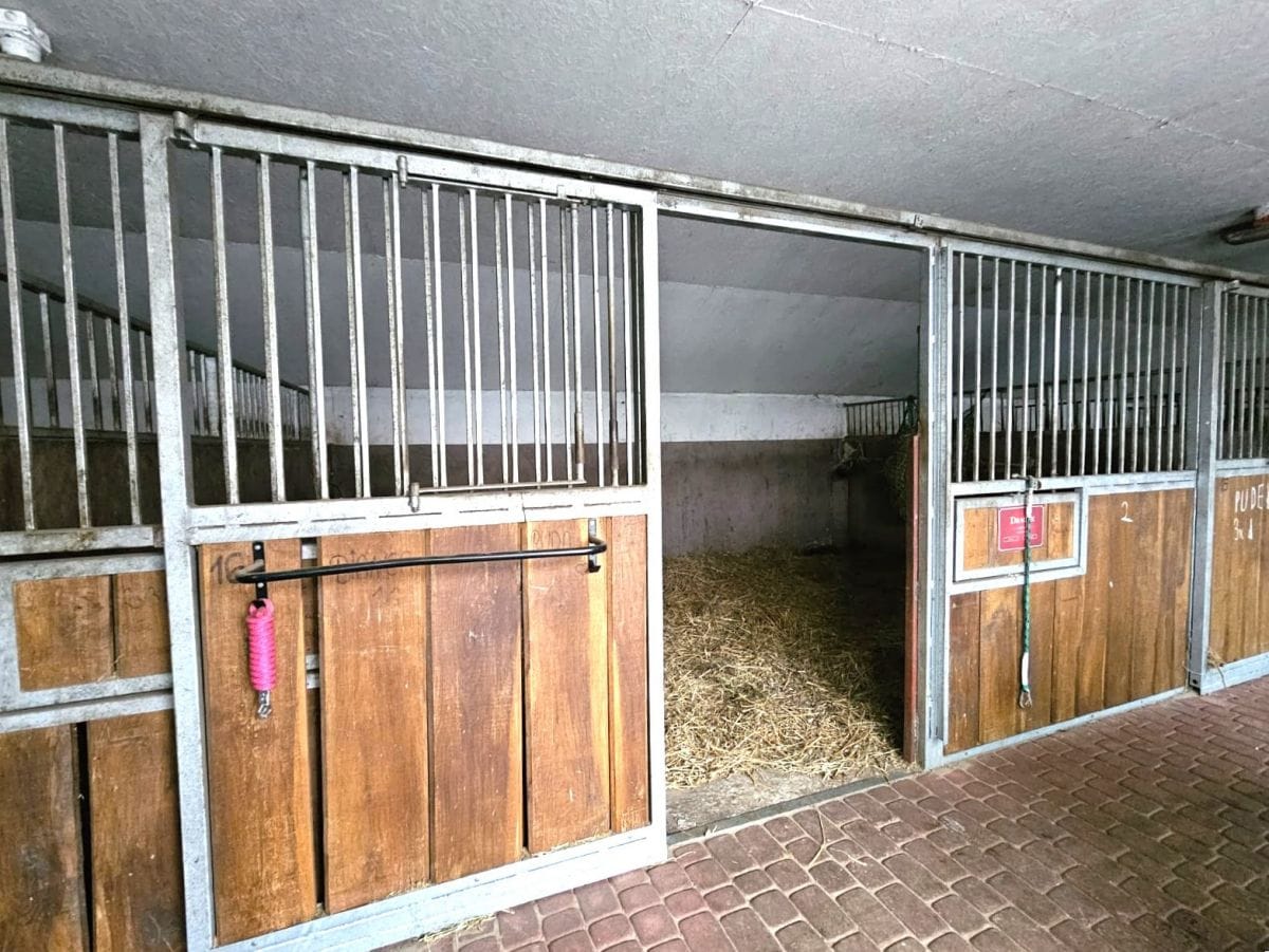 Lokal użytkowy  pokojowe na Sprzedaż