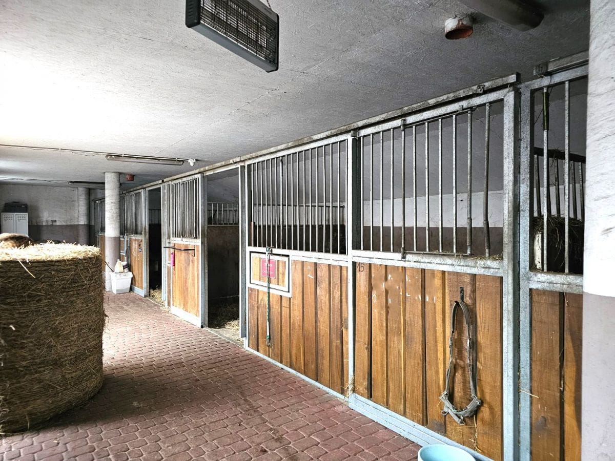 Lokal użytkowy  pokojowe na Sprzedaż