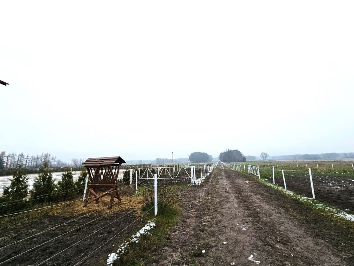Lokal użytkowy  pokojowe na Sprzedaż