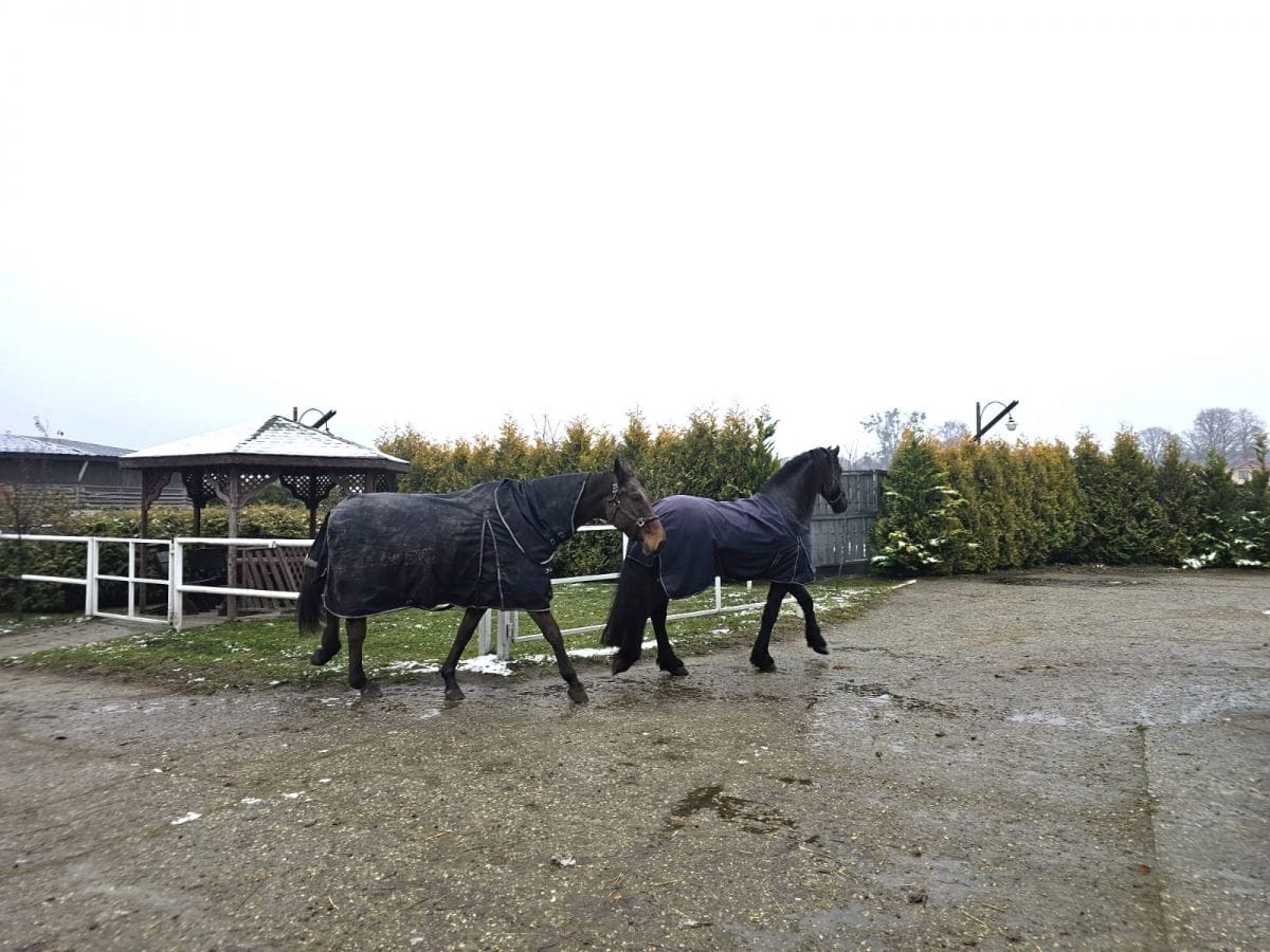 Lokal użytkowy  pokojowe na Sprzedaż